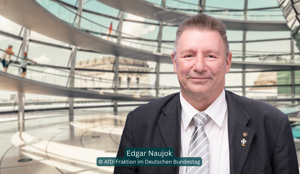 AfD Schlägt Edgar Naujok Als Vizepräsident Vor - Recht & Politik